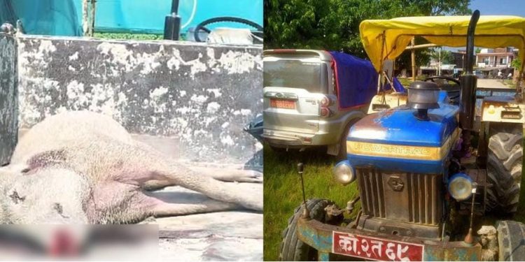 बँदेलसहित पक्राउ परेका पूर्व डिआइजीसहित १० जना जमानीमा रिहा