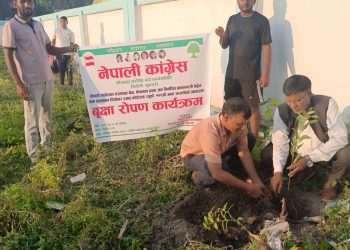 नेपाली कांग्रेस भोक्राहा नरसिंहले मनायो १११ औं वि.पी. जन्म जयन्ती