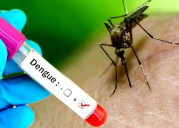 वर्षा सुरु भएपछि कोशीमा बढे डेंगु संक्रमित