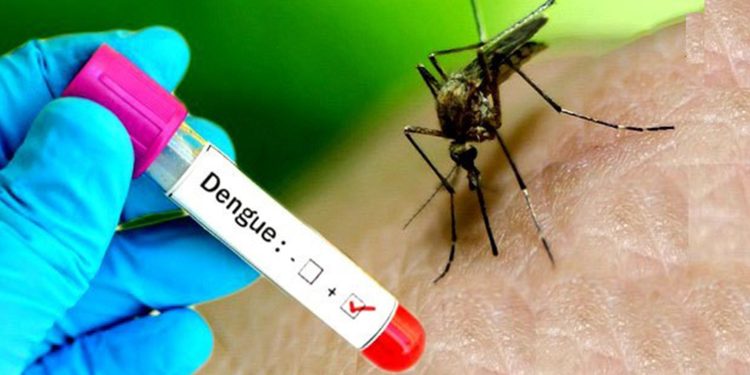 वर्षा सुरु भएपछि कोशीमा बढे डेंगु संक्रमित