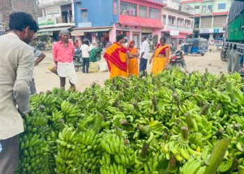 छठ पर्व नजिकिएसँगै सुनसरीमा केराको व्यापारमा उछाल, माग र मूल्यमा वृद्धि