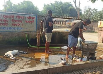 खसी बोका बनाएर मासिक ३ लाख आम्दानी