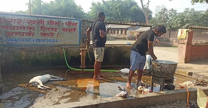 खसी बोका बनाएर मासिक ३ लाख आम्दानी