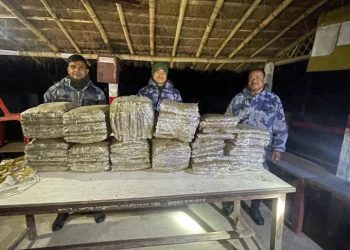 बराहक्षेत्रबाट सशस्त्र प्रहरीले ९७ किलो गाँजा बरामद