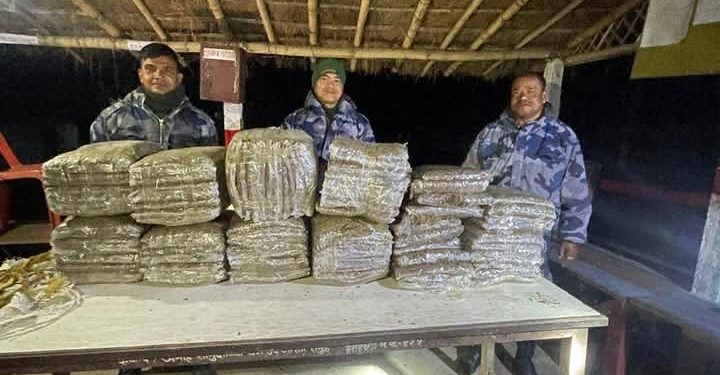 बराहक्षेत्रबाट सशस्त्र प्रहरीले ९७ किलो गाँजा बरामद