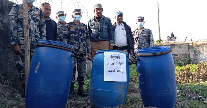 सुनसरीको भण्टावारीमा संकास्पद बंगुरको मासु बरामद