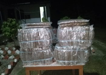 सुनसरीमा लागूऔषध र गाँजासम्बन्धी नियन्त्रण कडा हुँदै, प्रहरी सक्रिय