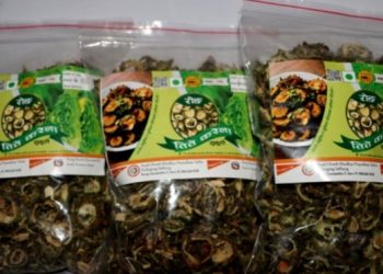 इलामको रोङ गाउँपालिकाले तिते करेलाको ब्रान्डिङ गर्दै, स्थानीय कृषकलाई आर्थिक लाभ