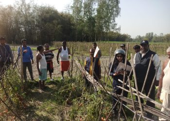 हावाहुरी र असिनापानीबाट क्षति पुगेका बालीनालीको कृषि ज्ञान केन्द्रद्वारा स्थलगत अनुगमन