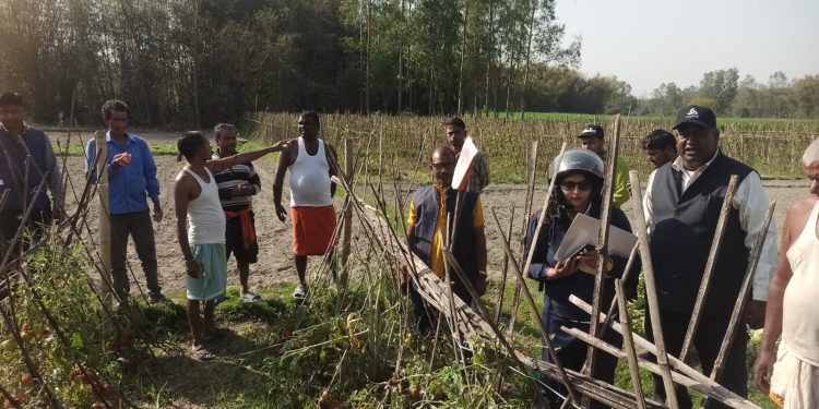 हावाहुरी र असिनापानीबाट क्षति पुगेका बालीनालीको कृषि ज्ञान केन्द्रद्वारा स्थलगत अनुगमन