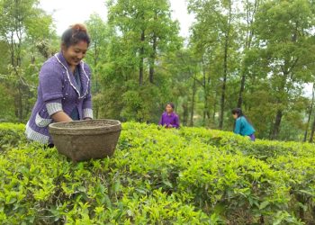 कृषि पेशाबाट केही हुँदैन भन्नेका लागि उनी उदाहरण