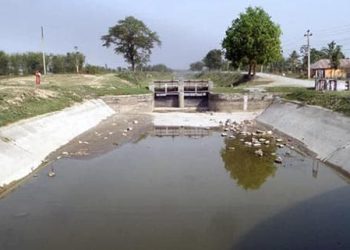 सुकसेना शाखा नहरमा पानी नआउँदा भोकै मरिरहेका बालीनाली : किसानको पीडा कसले सुन्छ ?