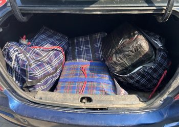 फिल्मी शैलीमा लागू औषध तस्करी : ११६ केजी गाँजासहित कार नियन्त्रणमा, चालक फरार