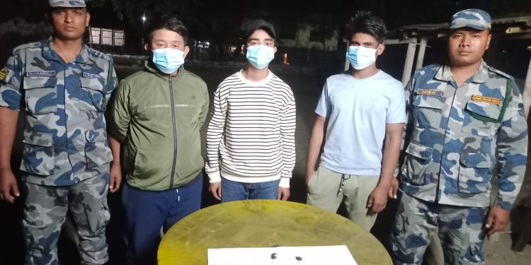 लौकही भन्सार गेटमा लागु औषधसहित तीन व्यक्ति पक्राउ