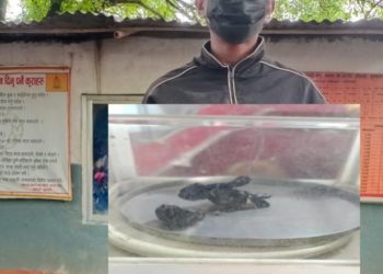 सुनसरी सीमा नाका हुँदै हेरोइनसहित युवक पक्राउ