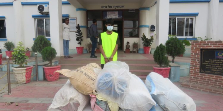 लागू औषधसहित भारतीय सीमा नजिकै युवक नियन्त्रणमा, सयौं किलो गाँजा र ब्राउन सुगर बरामद