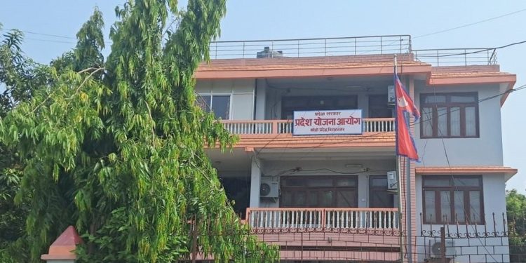 कोशी प्रदेश योजना बैंकमा दैनिक हजार बढी योजना ‘इन्ट्री’