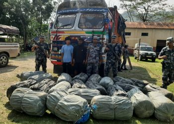 धरानको डाँडाबाट झण्डै आठ क्विन्टल गाँजासहित ट्रक नियन्त्रणमा