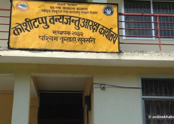 पर्यटककाे आकर्षणकाे केन्द्र बन्दै कोशीटप्पु, अर्ना र चराहरूकाे स्वर्गमा भीड बढ्दै