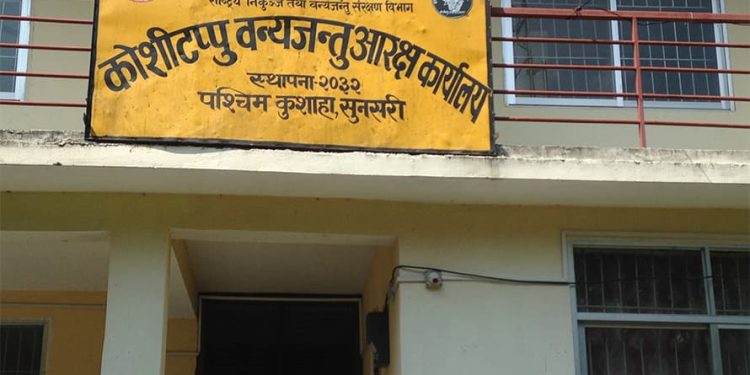 पर्यटककाे आकर्षणकाे केन्द्र बन्दै कोशीटप्पु, अर्ना र चराहरूकाे स्वर्गमा भीड बढ्दै