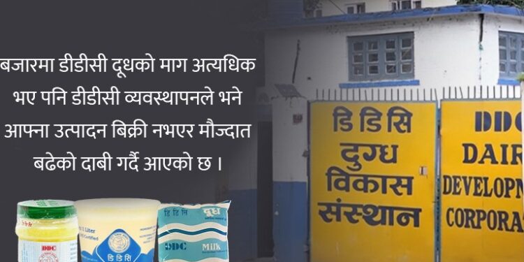 डीडीसीको दूध अभाव : उपभोक्ता पसल पसल भौंतारिँदा पसले हात चाट्दै