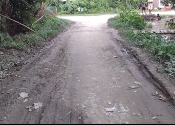 साँघुरो बाटोले बढायो दुर्घटनाको जोखिम