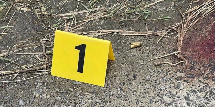 सप्तरीको बोदेबर्साइनमा पुजारीको गोली हानेर हत्या