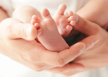 कोशी गाउँपालिका–८ मा नवजात शिशु फालिएको अवस्थामा फेला