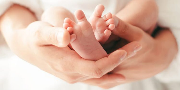 कोशी गाउँपालिका–८ मा नवजात शिशु फालिएको अवस्थामा फेला