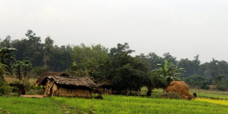 शुक्लाफाँटा निकुञ्जमा ५१४ हेक्टरभन्दा बढी क्षेत्र अतिक्रमण,