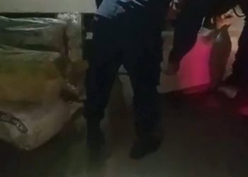 सुनसरीमा २ सय केजी गाँजासहित सिटी सफारी बरामद, चालक फरार