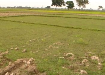 खेतीयोग्य जग्गा आवासीय कायम गरिएको भन्दै इनरुवामा स्थानीयको विरोध