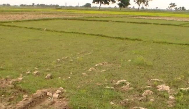 खेतीयोग्य जग्गा आवासीय कायम गरिएको भन्दै इनरुवामा स्थानीयको विरोध